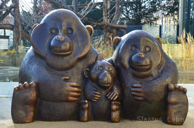 シェーンブルン動物園 　まとめ_e0088895_17113550.jpg