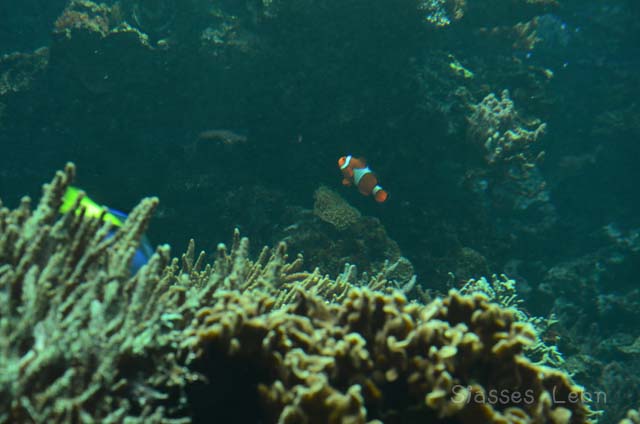 e0088895_1734761.jpg