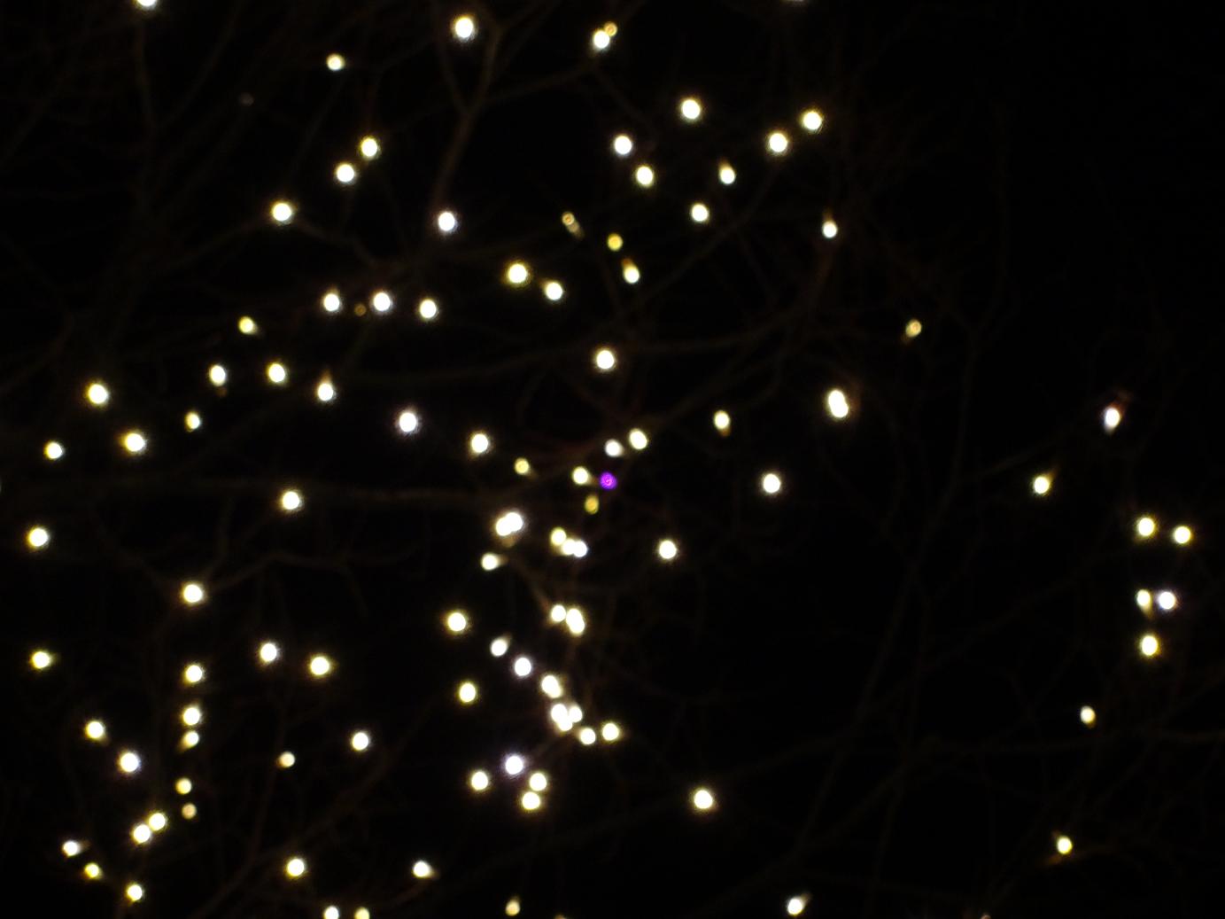 f0075595_73210.jpg