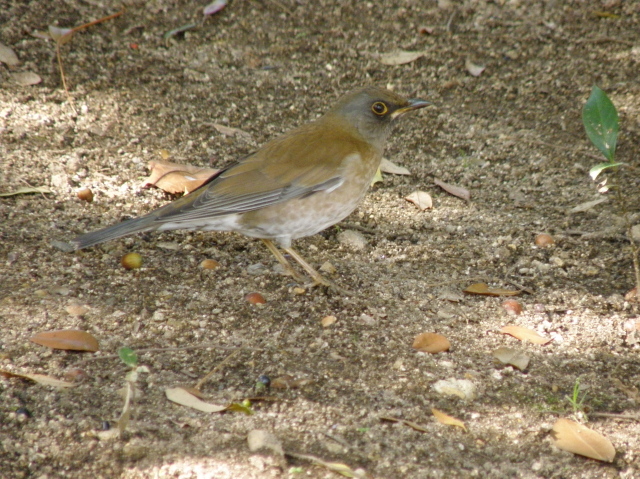 a0206496_7475487.jpg