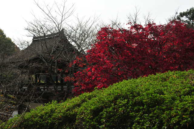 長岳寺_c0030202_2034358.jpg