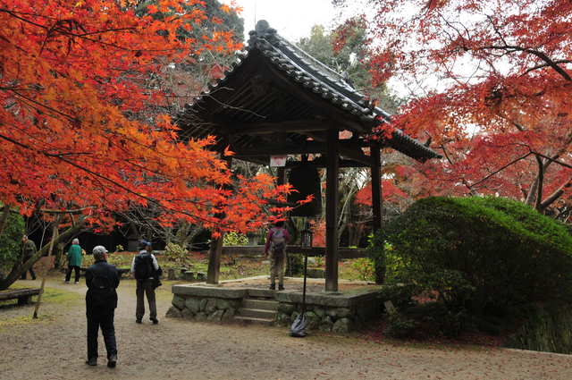 長岳寺_c0030202_204261.jpg