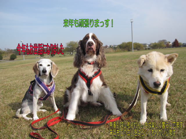 a0040103_16321433.jpg