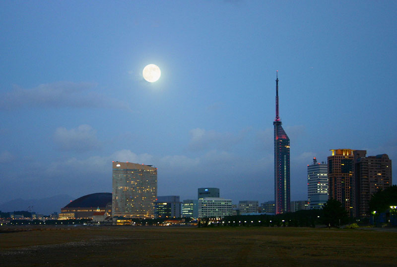 a0212807_13114.jpg