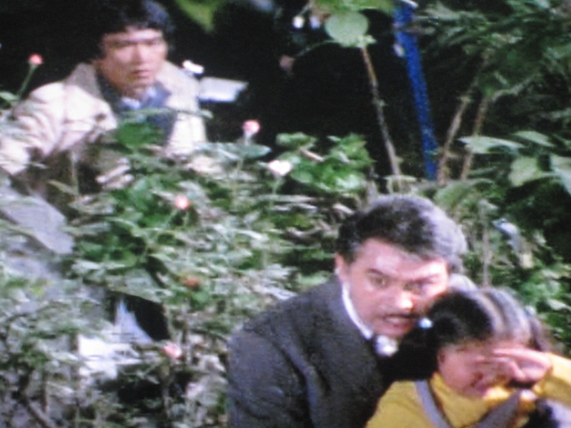 大都会PARTⅡ 第39話 グッドバイ1977_b0042308_412716.jpg