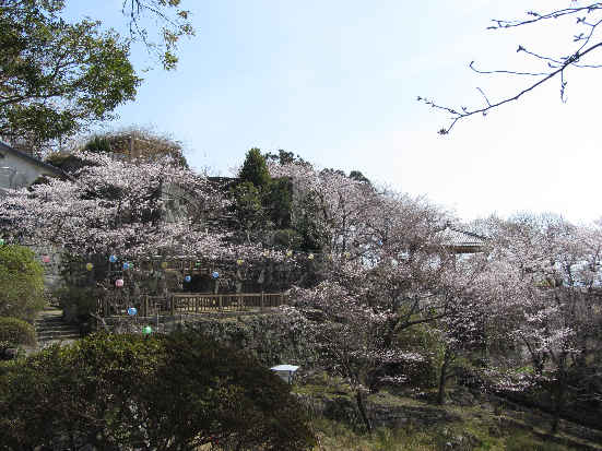 今年の思い出、振り返る　その1_d0154609_9594314.jpg