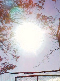 c0144511_1463477.jpg