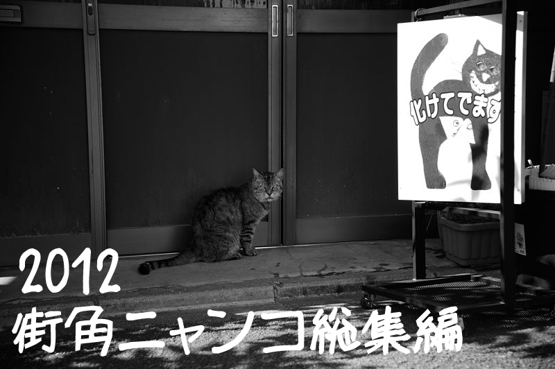 街角ニャンコ・2012総集編_f0032011_1658197.jpg