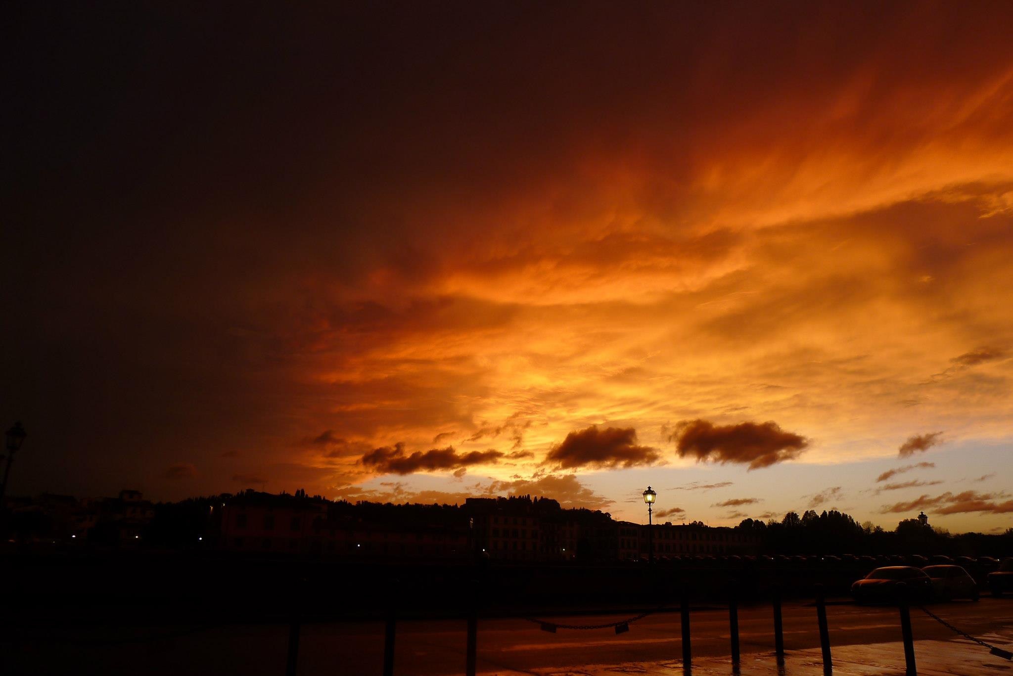 d0101515_1391437.jpg