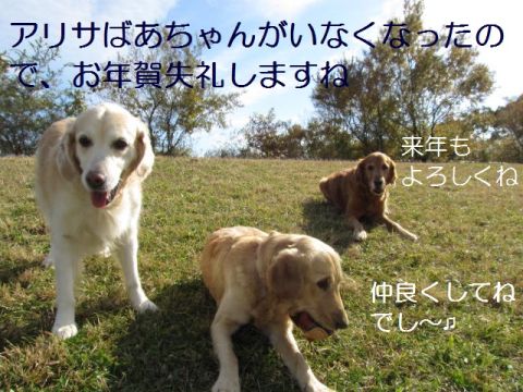 さよなら、別れと停滞の２０１２年_b0008217_16303969.jpg