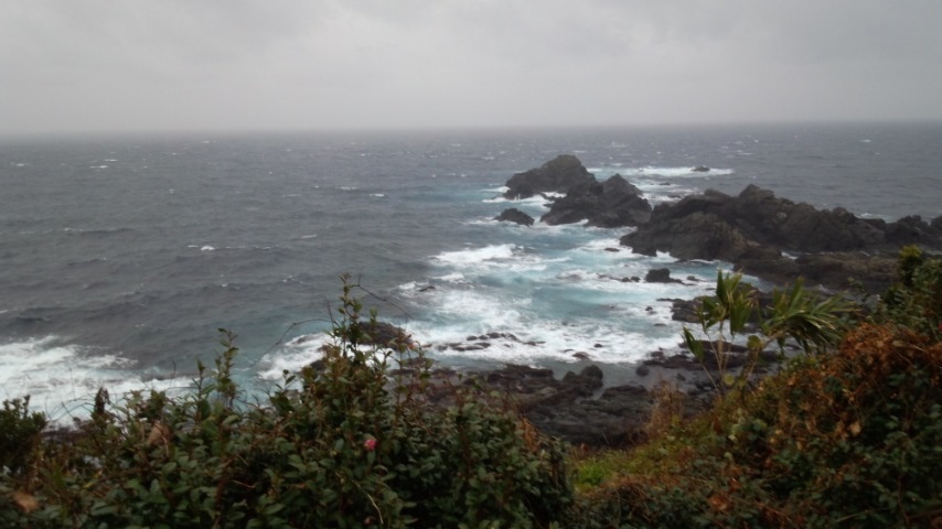 a0107718_2336139.jpg