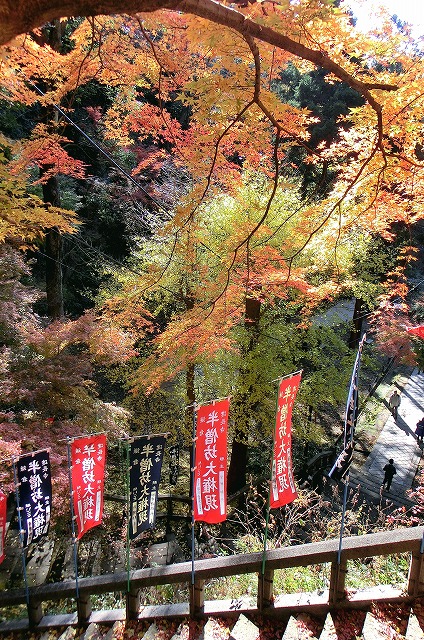 回顧 2012 ～12月 鎌倉 半僧坊～_d0085025_9354825.jpg