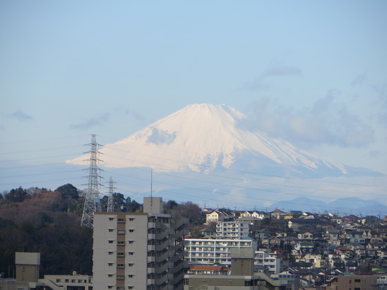a0155430_7543670.jpg