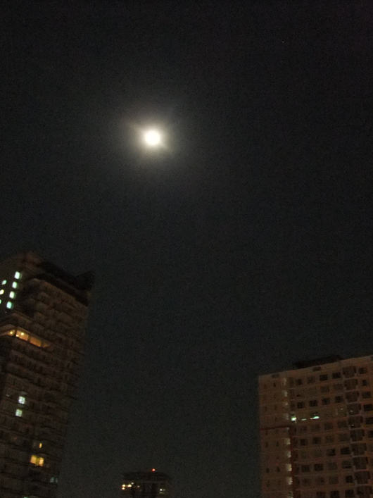 a0122532_1550925.jpg