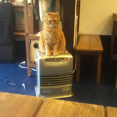 ねこストーブ。_b0209132_7574381.jpg