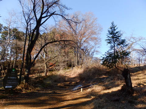 b0281732_14311486.jpg