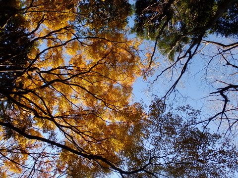 b0281732_1431244.jpg