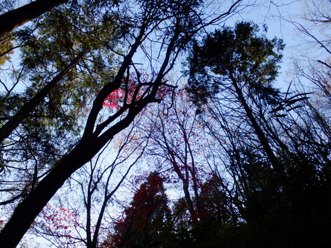 b0281732_14375099.jpg