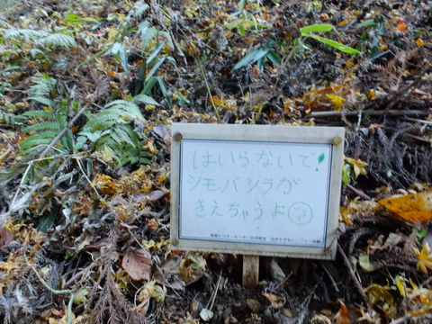 b0281732_1439289.jpg