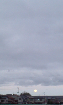 d0191640_00821.jpg