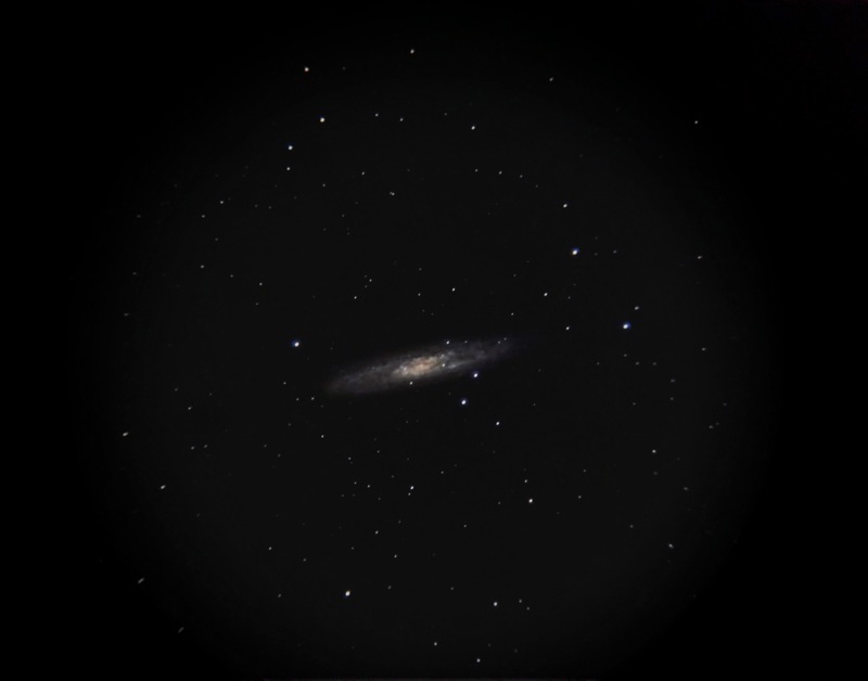 秋の銀河星雲（その２- NGC253）_b0167343_055132.jpg