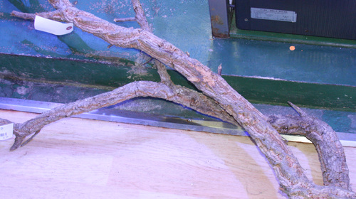 f0224952_16535742.jpg