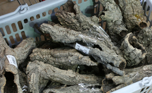 f0224952_171636.jpg