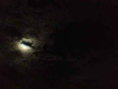 c0105957_22305546.jpg