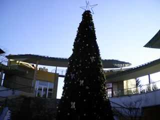 d0045362_17412872.jpg