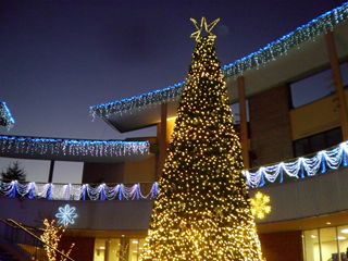 d0045362_17413539.jpg