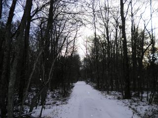 d0045362_23365642.jpg