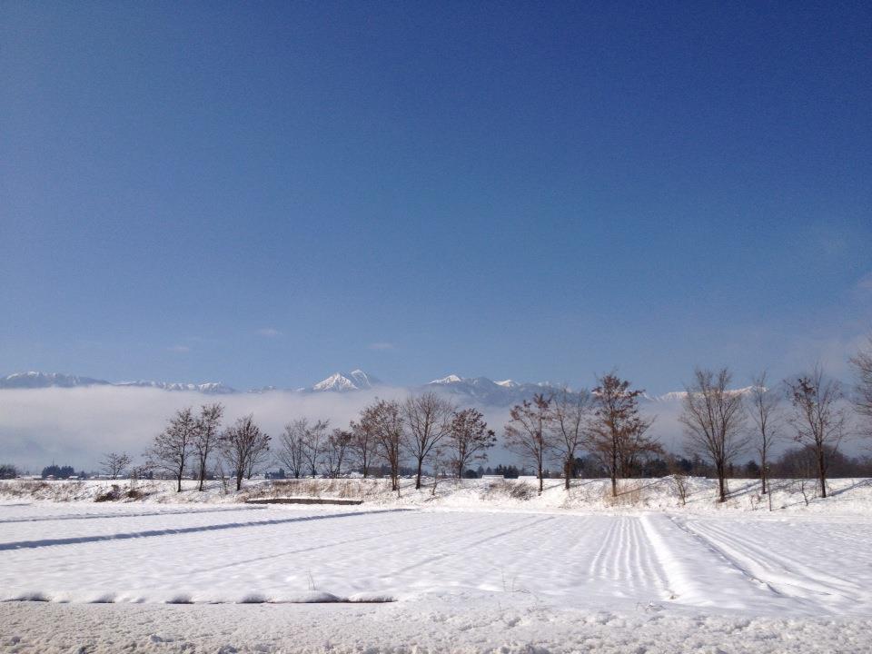 a0053063_20542293.jpg