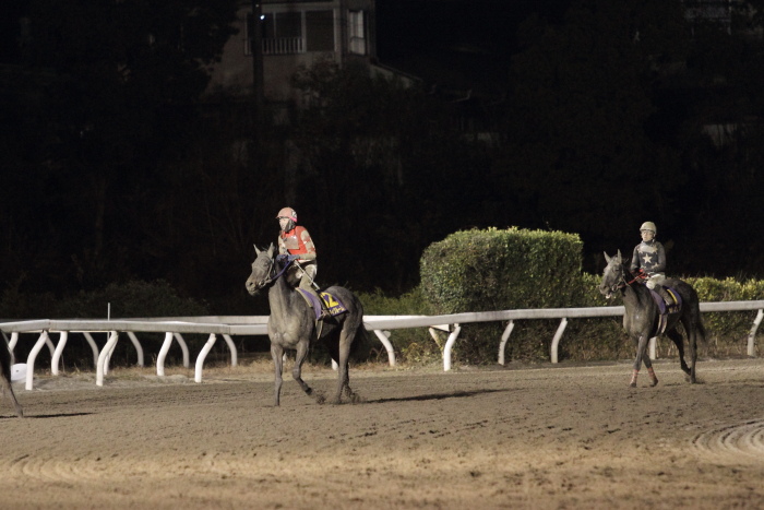 2012年12月24日（月） 高知競馬 7R 高知市長賞典 第34回 金の鞍賞 2歳 その2_a0077663_824329.jpg