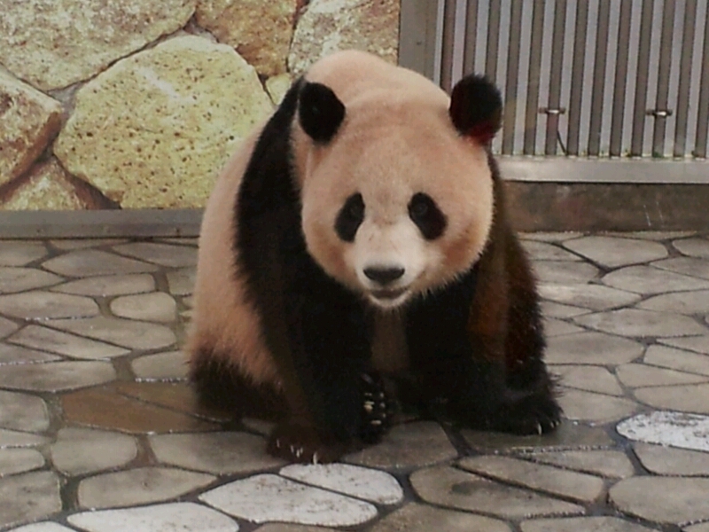 b0286966_22403150.jpg