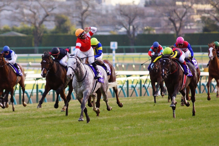 史上最長 驚愕の追い込み ゴールドシップの有馬記念 2 Turfに魅せられて 写真紀行 史上最長 驚愕の追い込み ゴールドシップの有馬記念 2 Turfに魅せられて 写真紀行