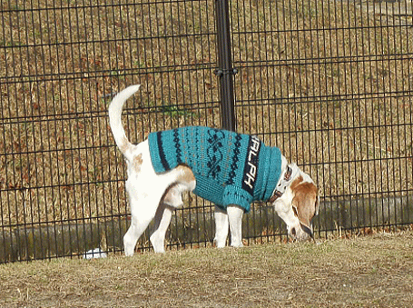 d0152869_21281417.gif