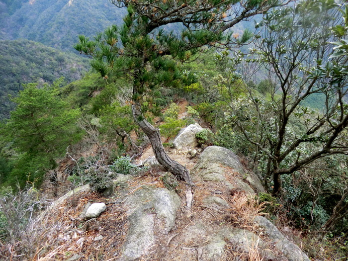 b0185573_8265454.jpg