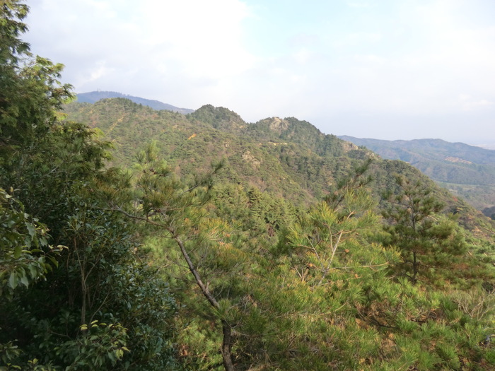 b0185573_8272248.jpg