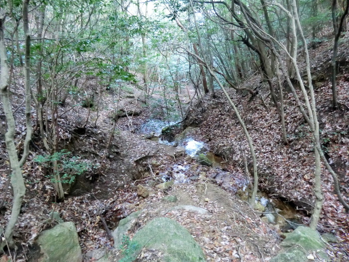 b0185573_830532.jpg