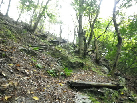 c0002874_1753553.jpg