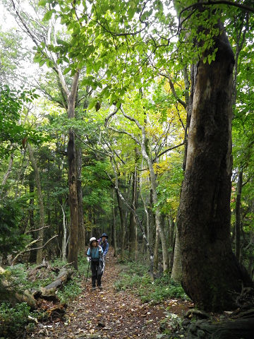 c0002874_17552272.jpg