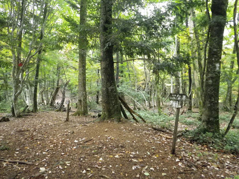 c0002874_17595171.jpg