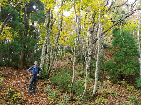 c0002874_1803748.jpg