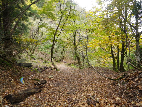 c0002874_18212120.jpg