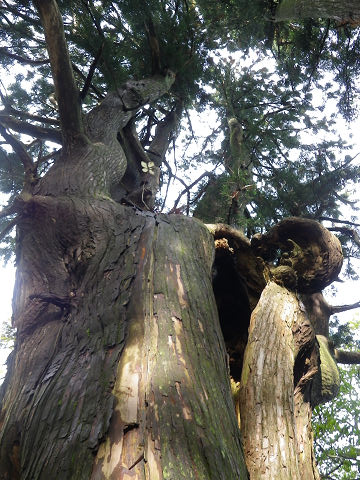 c0002874_18418.jpg