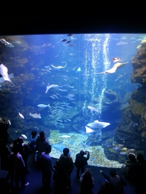e0075483_2010277.jpg