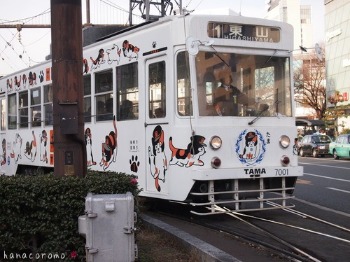 e0211786_22261115.jpg