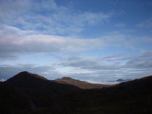 a0116490_9232224.jpg