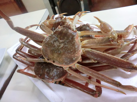f0117892_1633910.jpg