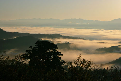 a0135396_16233748.jpg